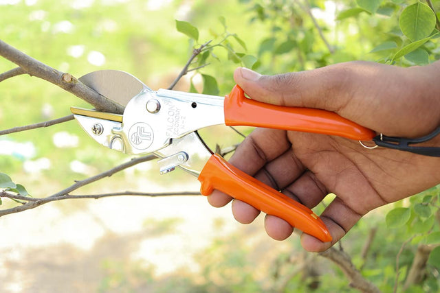 Gardening Tools