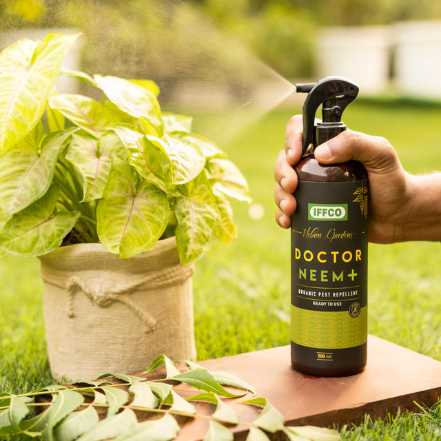 Organic & Chemical Pesticide