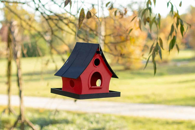 Bird House