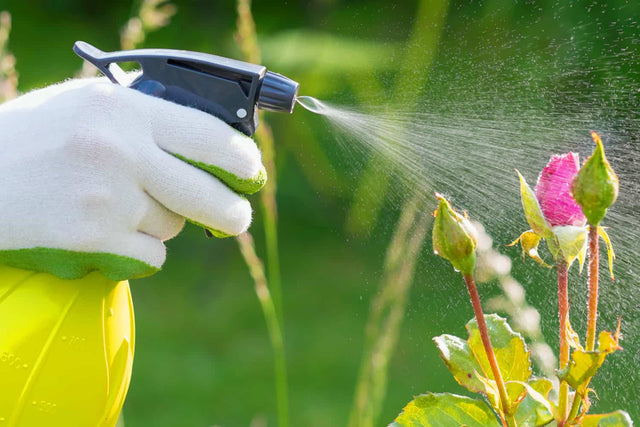 Fungicide