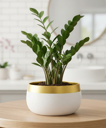 Plant Metal Flower Planter For Living Room | Office Decor Item | Succulent Pots | Table Top Planter | Gift Item (1294 B) (White and gold)