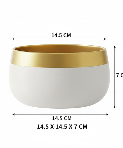 Plant Metal Flower Planter For Living Room | Office Decor Item | Succulent Pots | Table Top Planter | Gift Item (1294 B) (White and gold)
