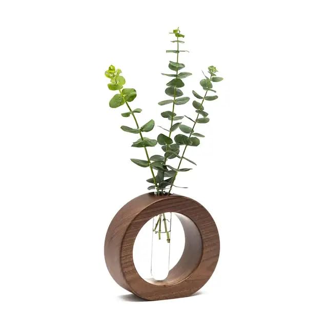 Wooden 1 Glass Test Tube Home Decor Planter Modern Flower Vase with Wood Stand Plant Propagation (17x12.5) cm