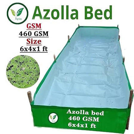250 GSM HDPE UV Stabilize, (Green, 4ftx2ftx1 ft) - Pack of 1 - Mini Azolla Bed