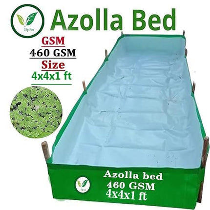 250 GSM HDPE UV Stabilize, (Green, 4ftx2ftx1 ft) - Pack of 1 - Mini Azolla Bed