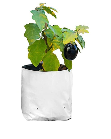 Anandi Green's White Color UV Protected Double Layer Poly Plastic Grow Bag for Home Garden Terrace Gardening Kitchen Gardening (Pack of 6 28x28x50 CM)