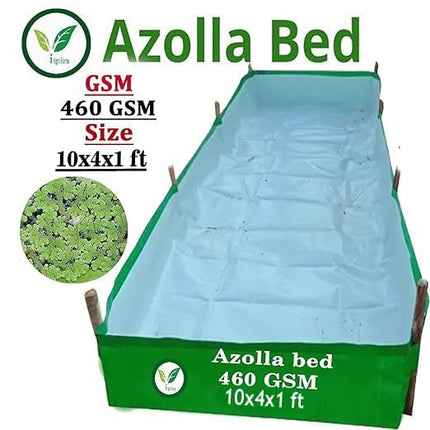 250 GSM HDPE UV Stabilize, (Green, 4ftx2ftx1 ft) - Pack of 1 - Mini Azolla Bed