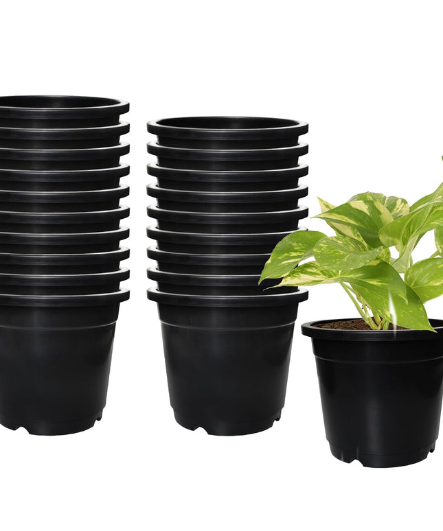 Amazon Brand - Solimo Round Pots for Plants with Bottom Tray|Lightweight|Indoor and Outdoor Flower Pot for Home/Office/Table/Garden/Balcony Decoration|8 inch (Set of 12), Brown