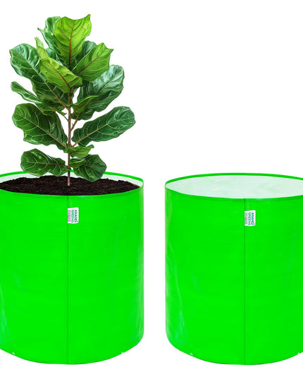 Anandi Green's Premium HDPE Uv Protected 260 GSM Round Shaped Green Colour Plants Grow Bags Suitable for Terrace and Vegetable Gardening 12x12 Inch Pack of 5 Grow Bags