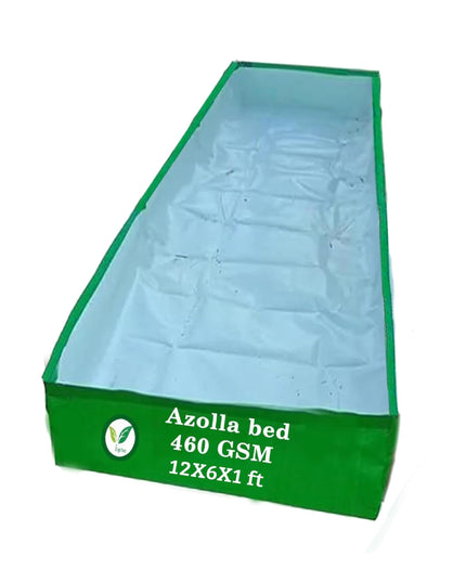 250 GSM HDPE UV Stabilize, (Green, 4ftx2ftx1 ft) - Pack of 1 - Mini Azolla Bed
