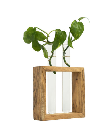 TrustBasket Test Tube Planter | Set of 2 Desk Money Plant Glass Pot | Money Plant Pots for Home Decor | Glass Planters for Indoor Plants | Water Plant Pot | Hydroponic Pots | Glass Tube for Plants