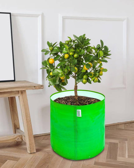 Anandi Green's Premium HDPE Uv Protected 260 GSM Round Shaped Green Colour Plants Grow Bags Suitable for Terrace and Vegetable Gardening 12x12 Inch Pack of 5 Grow Bags