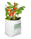 Pack Of 100 24x24x40 CM