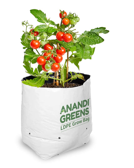 Anandi Green's White Color UV Protected Double Layer Poly Plastic Grow Bag for Home Garden Terrace Gardening Kitchen Gardening (Pack of 6 28x28x50 CM)