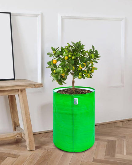 Anandi Green's Premium HDPE Uv Protected 260 GSM Round Shaped Green Colour Plants Grow Bags Suitable for Terrace and Vegetable Gardening 12x12 Inch Pack of 5 Grow Bags