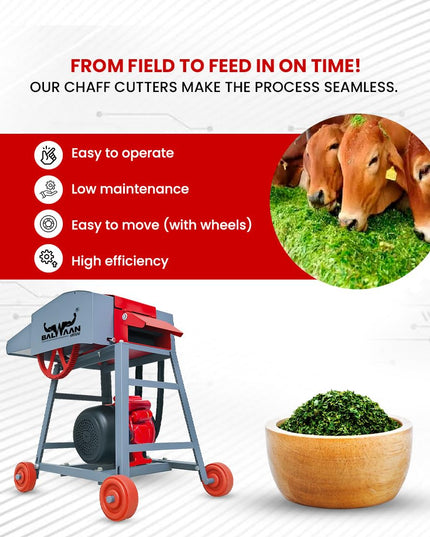 BALWAAN Krishi Chaff Cutter CH-120 with 2HP Motor, Comes with 4 Pieces Blade and RPM is 1440 | Suitable for Cutting up Straw or Hay for Fodder into Small Pieces Use for Small Dairy Farming