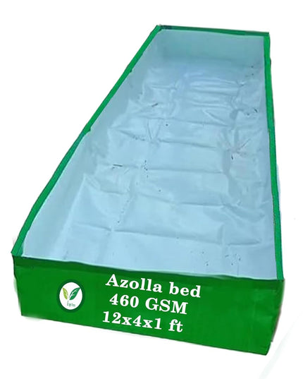 250 GSM HDPE UV Stabilize, (Green, 4ftx2ftx1 ft) - Pack of 1 - Mini Azolla Bed