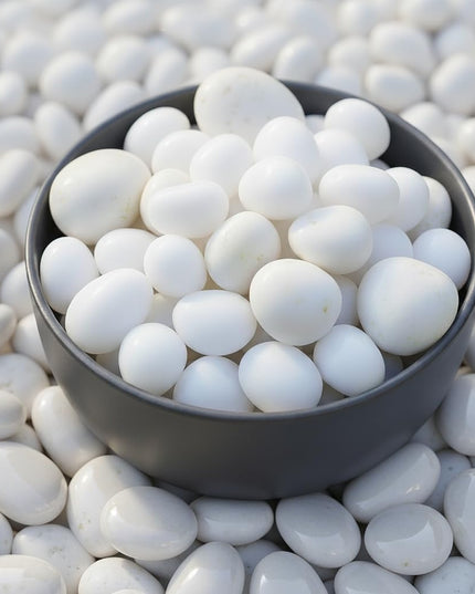 2 Kg Polished White Pebbles Stones for Plants Pots, Aquarium Fish Tank, Pebbles for Decoration, Garden, Table and Home Decor, Vase Fillers (2 Kg, White Stone)