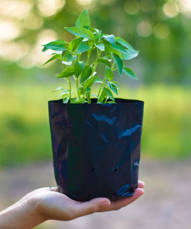 Garden Plastic UV Protected Poly Grow Nursery Plant Bags | Plant Bags for Home Garden |(Black, 5 X 7 inch) -50 Qty