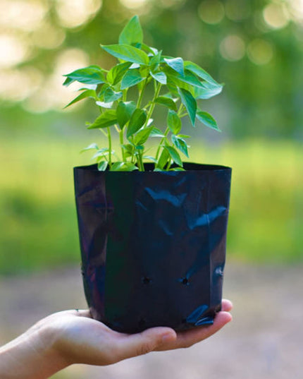 Garden Plastic UV Protected Poly Grow Nursery Plant Bags | Plant Bags for Home Garden |(Black, 5 X 7 inch) -50 Qty
