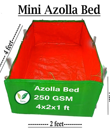 250 GSM HDPE UV Stabilize, (Green, 4ftx2ftx1 ft) - Pack of 1 - Mini Azolla Bed