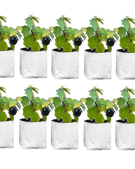 Anandi Green's White Color UV Protected Double Layer Poly Plastic Grow Bag for Home Garden Terrace Gardening Kitchen Gardening (Pack of 6 28x28x50 CM)