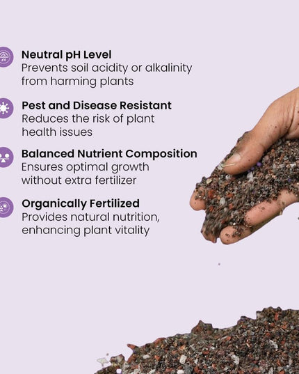 IFFCO Urban Gardens - Cacto Soil 5 Kg - Organic Succulent Potting Soil Mix - Promotes Aeration & Water Retention - 100% Natural with Added Nutrients Succulents & Cactus