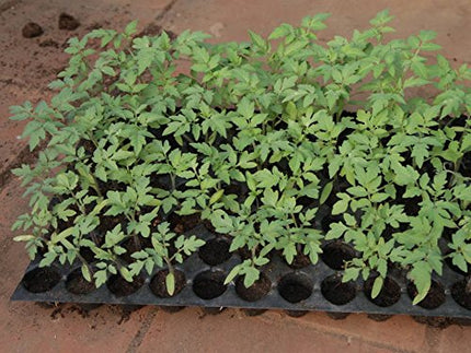 Seedling Tray for Plants, Reusable Germination Tray, Nursery Trays for Seedling, Sapling, Seed Starter & Growing Tray, 50 Cells Set of 10