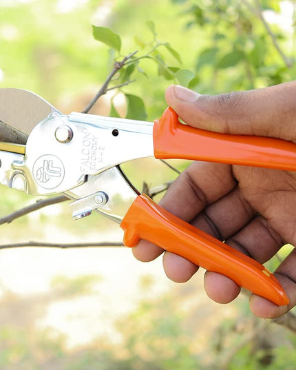FALCON Economy M2 Plant Cutter Heavy Duty Pruning Secateur Garden Scissors Pruning Shears Plant Branch Cutting Tool For Home Tree Garden