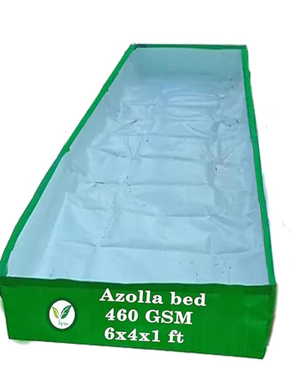250 GSM HDPE UV Stabilize, (Green, 4ftx2ftx1 ft) - Pack of 1 - Mini Azolla Bed