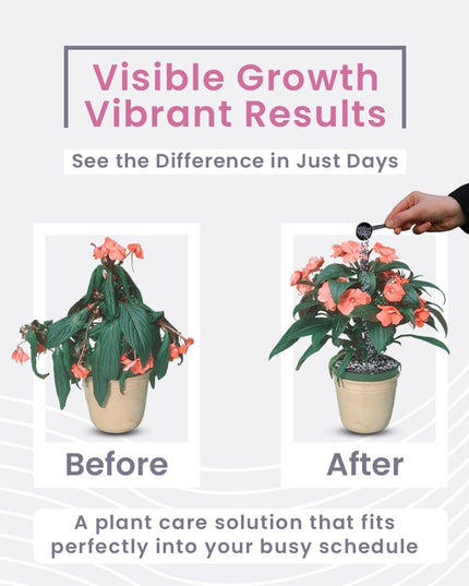 IFFCO Urban Gardens - Flora Diet - 1 Kg - Plant Food For Flower Boost in Plants - Balanced Macro Micro Nutrients & Growth Hormones for Rose, Jasmine etc - Slow Release Granules