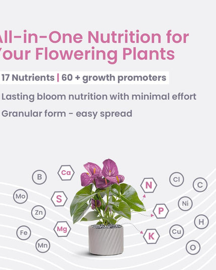 IFFCO Urban Gardens - Flora Diet - 1 Kg - Plant Food For Flower Boost in Plants - Balanced Macro Micro Nutrients & Growth Hormones for Rose, Jasmine etc - Slow Release Granules