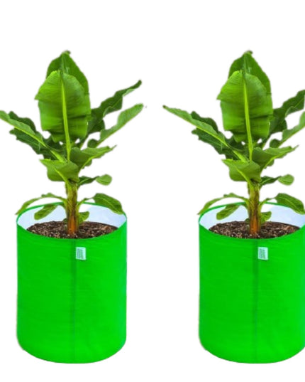 Anandi Green's Premium HDPE Uv Protected 260 GSM Round Shaped Green Colour Plants Grow Bags Suitable for Terrace and Vegetable Gardening 12x12 Inch Pack of 5 Grow Bags