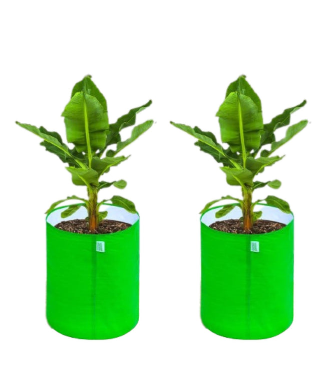 Anandi Green's Premium HDPE Uv Protected 260 GSM Round Shaped Green Colour Plants Grow Bags Suitable for Terrace and Vegetable Gardening 12x12 Inch Pack of 5 Grow Bags