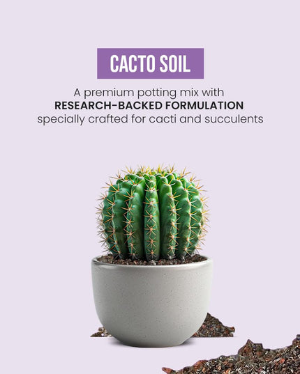 IFFCO Urban Gardens - Cacto Soil 5 Kg - Organic Succulent Potting Soil Mix - Promotes Aeration & Water Retention - 100% Natural with Added Nutrients Succulents & Cactus