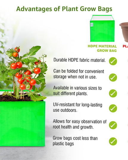 Anandi Green's Premium HDPE UV Protected 260 GSM Square Shaped Green Colour Plants Grow Bags Suitable for Terrace and Vegetable Gardening (Pack of 5, 24X12X9 INCH)