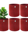 18x18 INCH Pack of 5 / Maroon