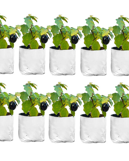 Anandi Green's White Color UV Protected Double Layer Poly Plastic Grow Bag for Home Garden Terrace Gardening Kitchen Gardening (Pack of 6 28x28x50 CM)