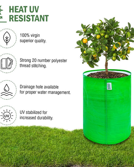Anandi Green's Premium HDPE Uv Protected 260 GSM Round Shaped Green Colour Plants Grow Bags Suitable for Terrace and Vegetable Gardening 12x12 Inch Pack of 5 Grow Bags