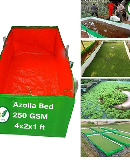 250 GSM HDPE UV Stabilize, (Green, 4ftx2ftx1 ft) - Pack of 1 - Mini Azolla Bed