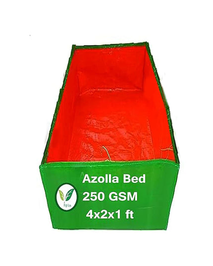 250 GSM HDPE UV Stabilize, (Green, 4ftx2ftx1 ft) - Pack of 1 - Mini Azolla Bed