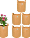 10x10 INCH Pack of 6 / Cemal