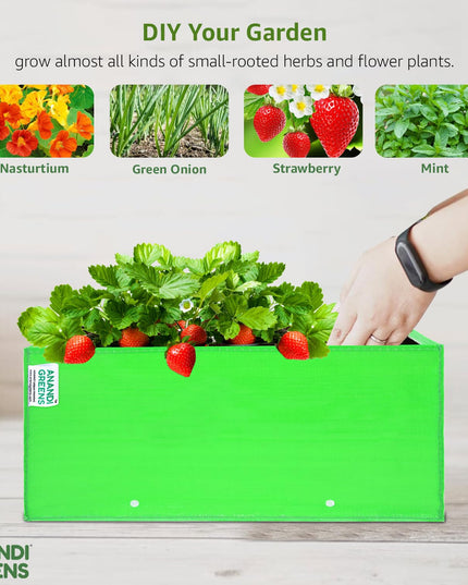 Anandi Green's Premium HDPE UV Protected 260 GSM Square Shaped Green Colour Plants Grow Bags Suitable for Terrace and Vegetable Gardening (Pack of 5, 24X12X9 INCH)