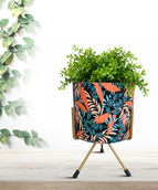 Tropical Harmony