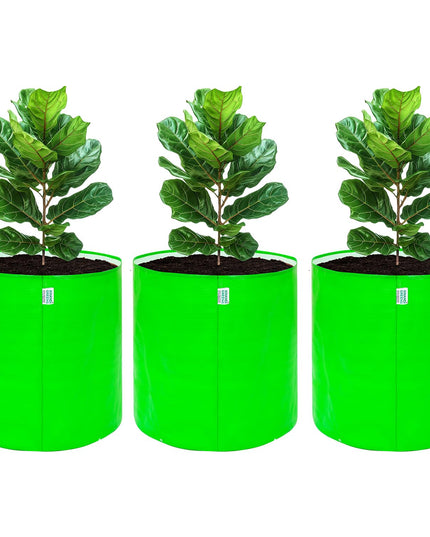 Anandi Green's Premium HDPE Uv Protected 260 GSM Round Shaped Green Colour Plants Grow Bags Suitable for Terrace and Vegetable Gardening 12x12 Inch Pack of 5 Grow Bags