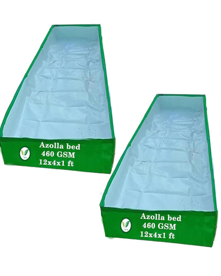 250 GSM HDPE UV Stabilize, (Green, 4ftx2ftx1 ft) - Pack of 1 - Mini Azolla Bed
