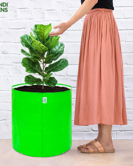 Anandi Green's Premium HDPE Uv Protected 260 GSM Round Shaped Green Colour Plants Grow Bags Suitable for Terrace and Vegetable Gardening 12x12 Inch Pack of 5 Grow Bags