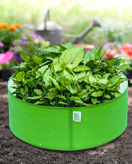 Anandi Green's Premium HDPE Uv Protected 260 GSM Round Shaped Green Colour Plants Grow Bags Suitable for Terrace and Vegetable Gardening 12x12 Inch Pack of 5 Grow Bags