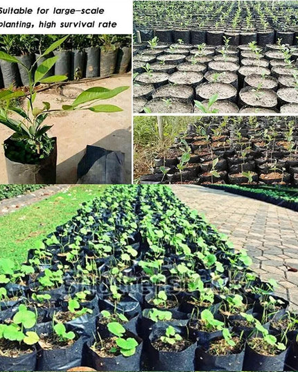Garden Plastic UV Protected Poly Grow Nursery Plant Bags | Plant Bags for Home Garden |(Black, 5 X 7 inch) -50 Qty