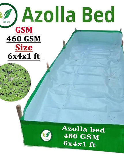 250 GSM HDPE UV Stabilize, (Green, 4ftx2ftx1 ft) - Pack of 1 - Mini Azolla Bed